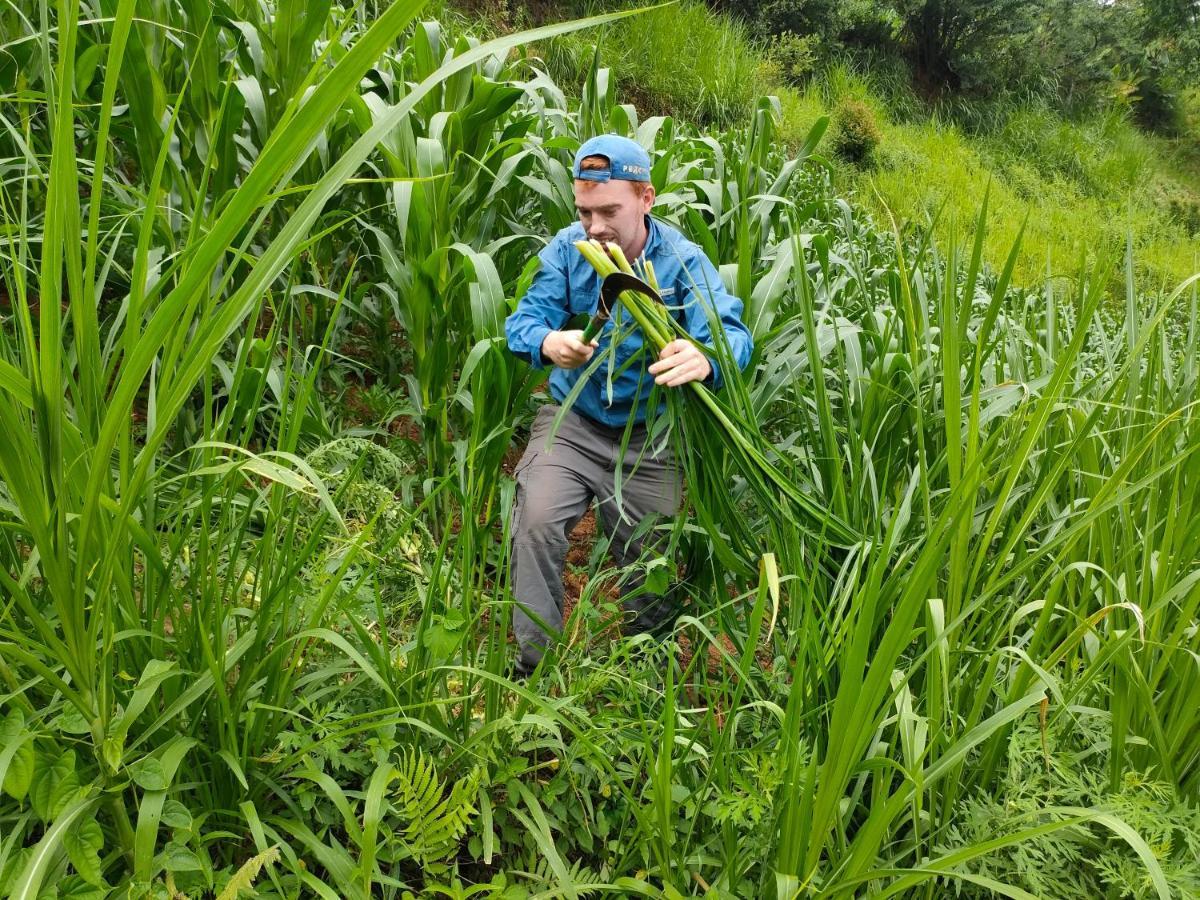 Indigenous homestay Mu Cang Chai Luaran gambar